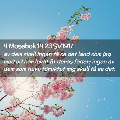 Picture 02 - 4 Mosebok 14:23 SV1917 - av dem skall ingen få se det land som jag med ed - Bible Verse Picture