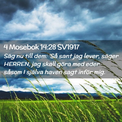 Picture 02 - 4 Mosebok 14:28 SV1917 - Säg nu till dem: 'Så sant jag lever, säger - Bible Verse Picture
