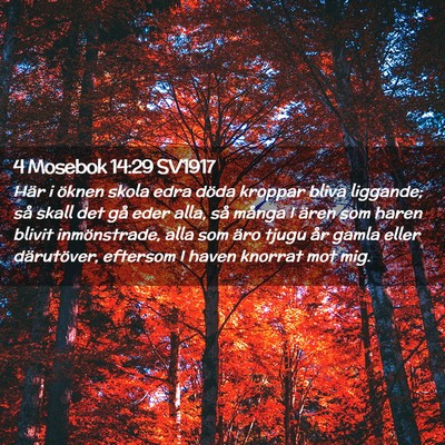 Picture 02 - 4 Mosebok 14:29 SV1917 - Här i öknen skola edra döda kroppar bliva - Bible Verse Picture