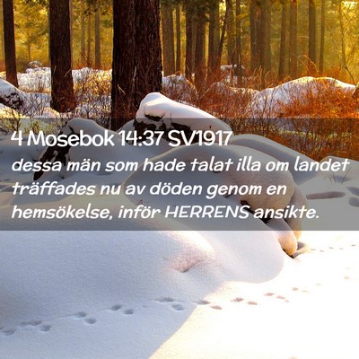 Picture 02 - 4 Mosebok 14:37 SV1917 - dessa män som hade talat illa om landet - Bible Verse Picture