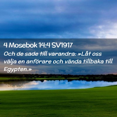 Picture 02 - 4 Mosebok 14:4 SV1917 - Och de sade till varandra: »Låt oss välja en - Bible Verse Picture