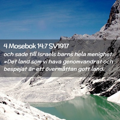 Picture 02 - 4 Mosebok 14:7 SV1917 - och sade till Israels barns hela menighet: »Det - Bible Verse Picture
