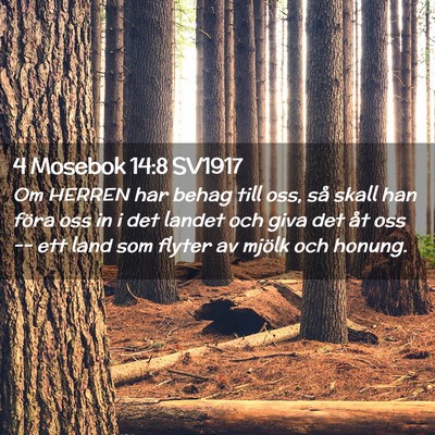 Picture 02 - 4 Mosebok 14:8 SV1917 - Om HERREN har behag till oss, så skall han föra - Bible Verse Picture