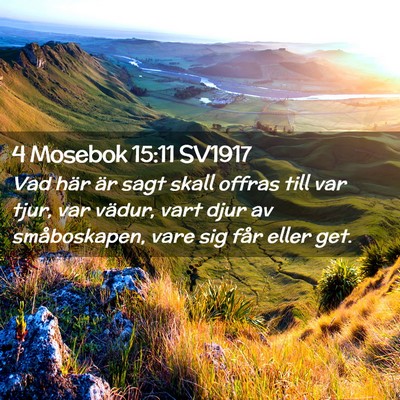 Picture 02 - 4 Mosebok 15:11 SV1917 - Vad här är sagt skall offras till var tjur, var - Bible Verse Picture