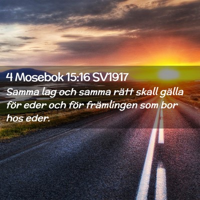 Picture 02 - 4 Mosebok 15:16 SV1917 - Samma lag och samma rätt skall gälla för eder - Bible Verse Picture