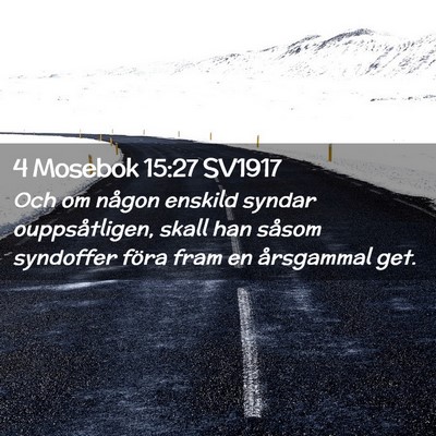 Picture 02 - 4 Mosebok 15:27 SV1917 - Och om någon enskild syndar ouppsåtligen, skall - Bible Verse Picture