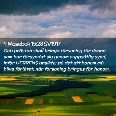 Picture 02 - 4 Mosebok 15:28 SV1917 - Och prästen skall bringa försoning för denne - Bible Verse Picture