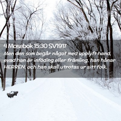 Picture 02 - 4 Mosebok 15:30 SV1917 - Men den som begår något med upplyft hand, evad - Bible Verse Picture