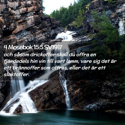 Picture 02 - 4 Mosebok 15:5 SV1917 - och såsom drickoffer skall du offra en - Bible Verse Picture