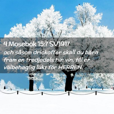 Picture 02 - 4 Mosebok 15:7 SV1917 - och såsom drickoffer skall du bära fram en - Bible Verse Picture