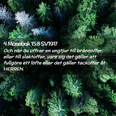 Picture 02 - 4 Mosebok 15:8 SV1917 - Och när du offrar en ungtjur till brännoffer - Bible Verse Picture