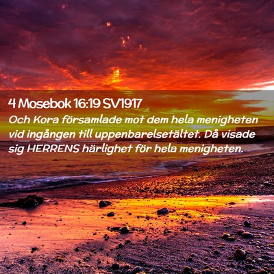 Picture 02 - 4 Mosebok 16:19 SV1917 - Och Kora församlade mot dem hela menigheten vid - Bible Verse Picture
