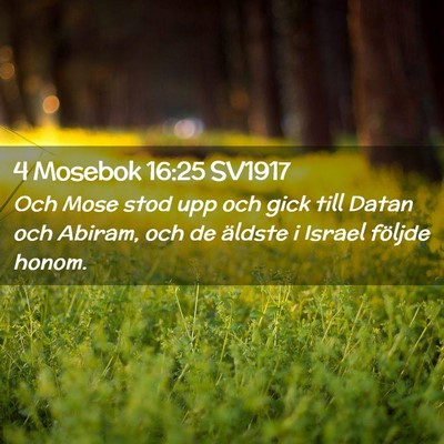 Picture 02 - 4 Mosebok 16:25 SV1917 - Och Mose stod upp och gick till Datan och Abiram, - Bible Verse Picture