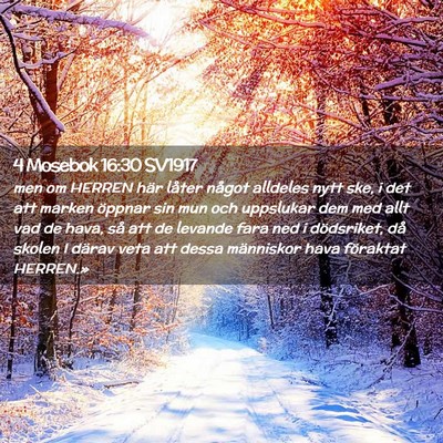 Picture 02 - 4 Mosebok 16:30 SV1917 - men om HERREN här låter något alldeles nytt - Bible Verse Picture