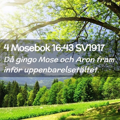 Picture 02 - 4 Mosebok 16:43 SV1917 - Då gingo Mose och Aron fram inför - Bible Verse Picture