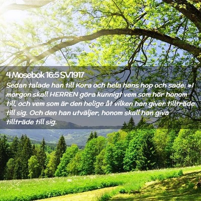 Picture 02 - 4 Mosebok 16:5 SV1917 - Sedan talade han till Kora och hela hans hop och - Bible Verse Picture