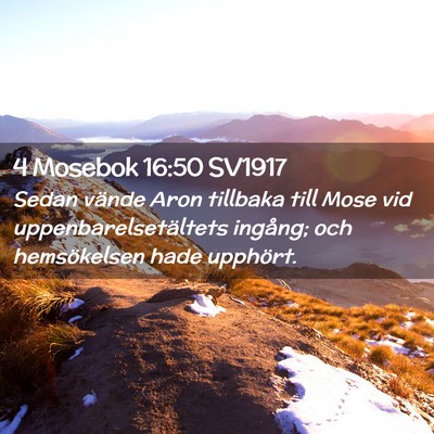 Picture 02 - 4 Mosebok 16:50 SV1917 - Sedan vände Aron tillbaka till Mose vid - Bible Verse Picture
