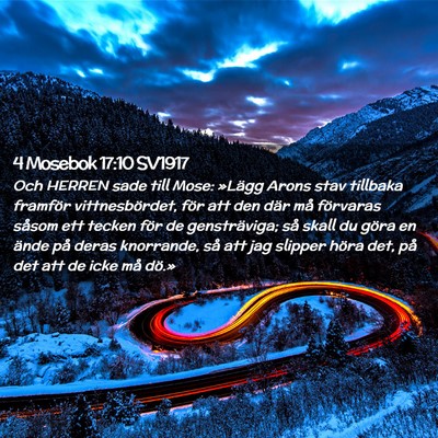 Picture 02 - 4 Mosebok 17:10 SV1917 - Och HERREN sade till Mose: »Lägg Arons stav - Bible Verse Picture