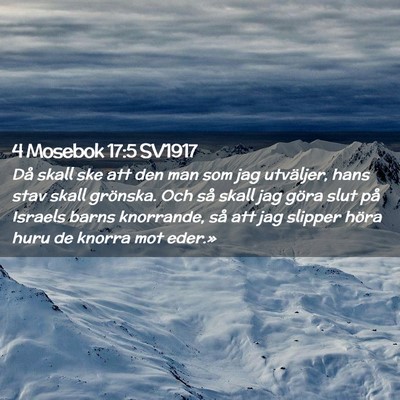 Picture 02 - 4 Mosebok 17:5 SV1917 - Då skall ske att den man som jag utväljer, hans - Bible Verse Picture