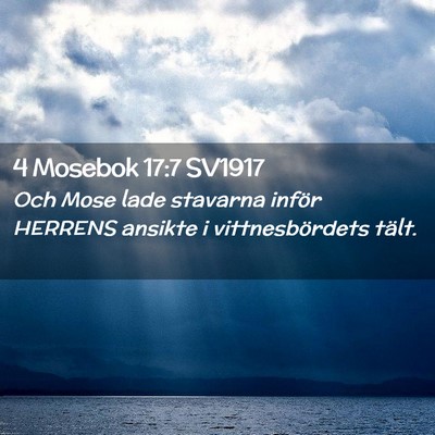 Picture 02 - 4 Mosebok 17:7 SV1917 - Och Mose lade stavarna inför HERRENS ansikte i - Bible Verse Picture