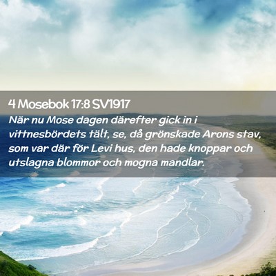 Picture 02 - 4 Mosebok 17:8 SV1917 - När nu Mose dagen därefter gick in i - Bible Verse Picture