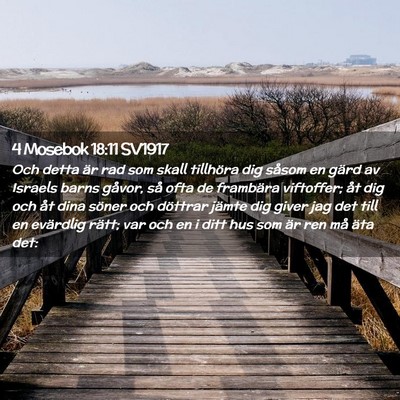 Picture 02 - 4 Mosebok 18:11 SV1917 - Och detta är rad som skall tillhöra dig såsom - Bible Verse Picture