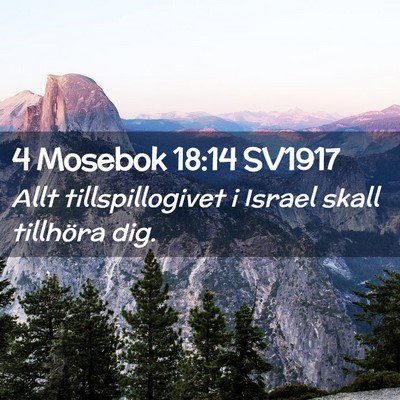 Picture 02 - 4 Mosebok 18:14 SV1917 - Allt tillspillogivet i Israel skall tillhöra - Bible Verse Picture