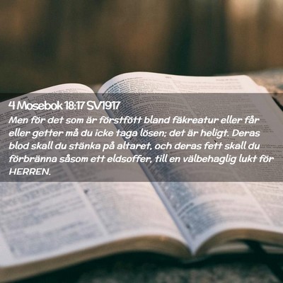 Picture 02 - 4 Mosebok 18:17 SV1917 - Men för det som är förstfött bland fäkreatur - Bible Verse Picture