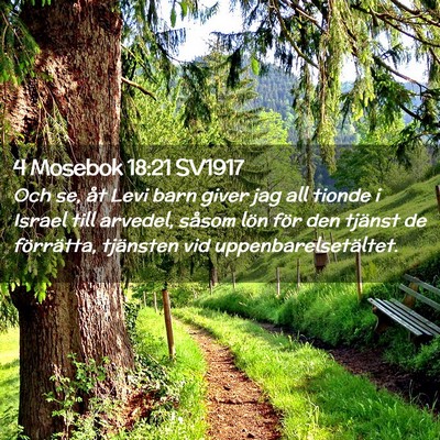 Picture 02 - 4 Mosebok 18:21 SV1917 - Och se, åt Levi barn giver jag all tionde i - Bible Verse Picture