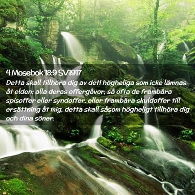 Picture 02 - 4 Mosebok 18:9 SV1917 - Detta skall tillhöra dig av det! högheliga som - Bible Verse Picture