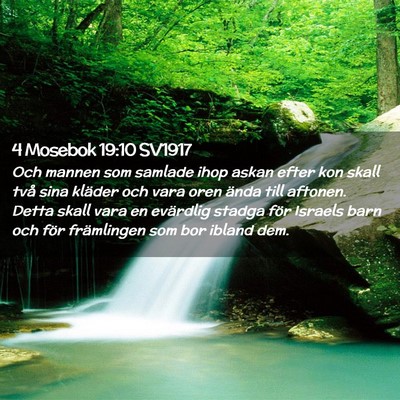 Picture 02 - 4 Mosebok 19:10 SV1917 - Och mannen som samlade ihop askan efter kon skall - Bible Verse Picture