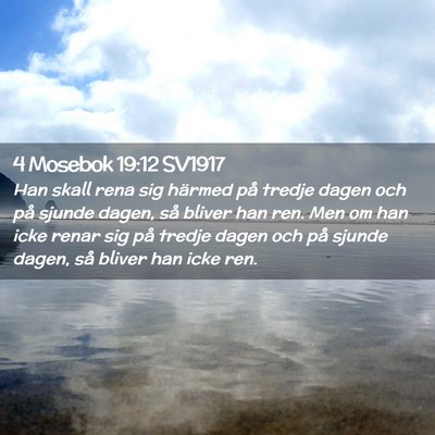 Picture 02 - 4 Mosebok 19:12 SV1917 - Han skall rena sig härmed på tredje dagen och - Bible Verse Picture