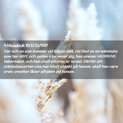 Picture 02 - 4 Mosebok 19:13 SV1917 - Var och en som kommer vid någon död, vid liket - Bible Verse Picture