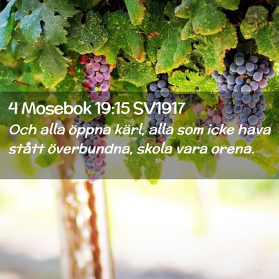 Picture 02 - 4 Mosebok 19:15 SV1917 - Och alla öppna kärl, alla som icke hava stått - Bible Verse Picture