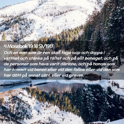 Picture 02 - 4 Mosebok 19:18 SV1917 - Och en man som är ren skall taga isop och doppa - Bible Verse Picture