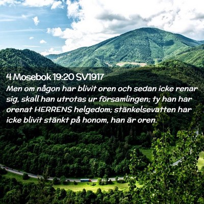 Picture 02 - 4 Mosebok 19:20 SV1917 - Men om någon har blivit oren och sedan icke - Bible Verse Picture