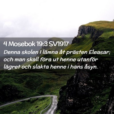 Picture 02 - 4 Mosebok 19:3 SV1917 - Denna skolen I lämna åt prästen Eleasar; och - Bible Verse Picture