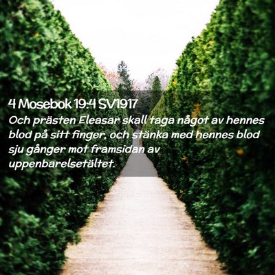 Picture 02 - 4 Mosebok 19:4 SV1917 - Och prästen Eleasar skall taga något av hennes - Bible Verse Picture