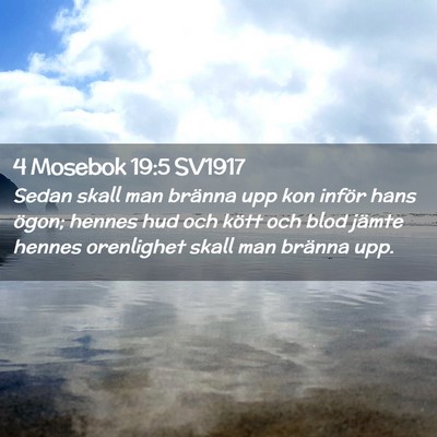 Picture 02 - 4 Mosebok 19:5 SV1917 - Sedan skall man bränna upp kon inför hans - Bible Verse Picture