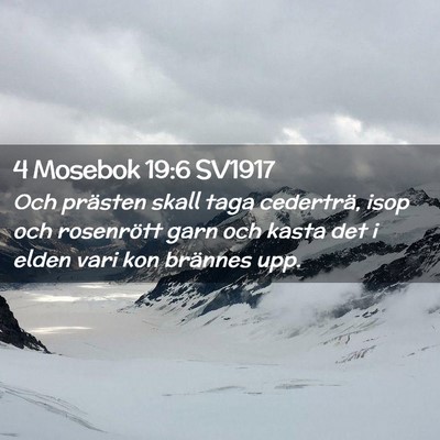 Picture 02 - 4 Mosebok 19:6 SV1917 - Och prästen skall taga cederträ, isop och - Bible Verse Picture