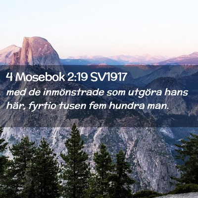 Picture 02 - 4 Mosebok 2:19 SV1917 - med de inmönstrade som utgöra hans här, fyrtio - Bible Verse Picture