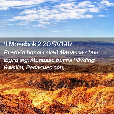 Picture 02 - 4 Mosebok 2:20 SV1917 - Bredvid honom skall Manasse stam lägra sig: - Bible Verse Picture