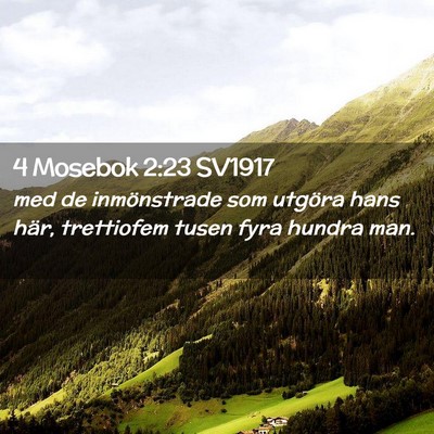 Picture 02 - 4 Mosebok 2:23 SV1917 - med de inmönstrade som utgöra hans här, - Bible Verse Picture