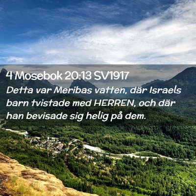 Picture 02 - 4 Mosebok 20:13 SV1917 - Detta var Meribas vatten, där Israels barn - Bible Verse Picture
