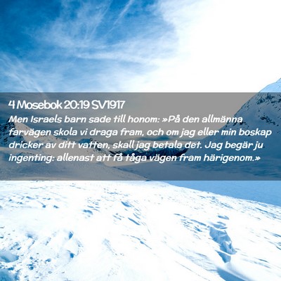 Picture 02 - 4 Mosebok 20:19 SV1917 - Men Israels barn sade till honom: »På den - Bible Verse Picture