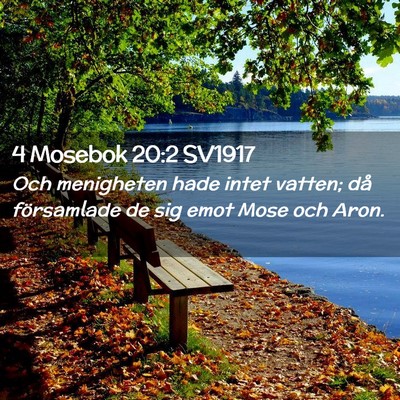 Picture 02 - 4 Mosebok 20:2 SV1917 - Och menigheten hade intet vatten; då församlade - Bible Verse Picture