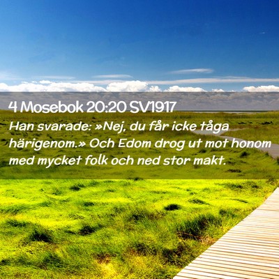 Picture 02 - 4 Mosebok 20:20 SV1917 - Han svarade: »Nej, du får icke tåga - Bible Verse Picture