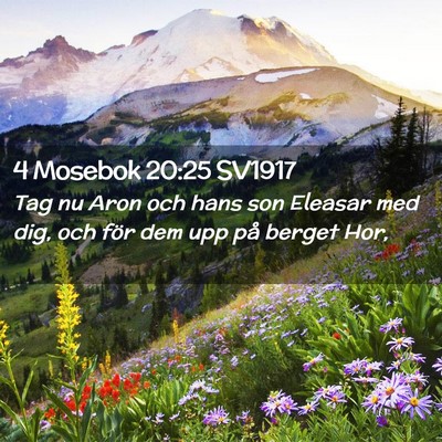 Picture 02 - 4 Mosebok 20:25 SV1917 - Tag nu Aron och hans son Eleasar med dig, och - Bible Verse Picture