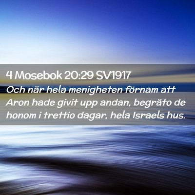 Picture 02 - 4 Mosebok 20:29 SV1917 - Och när hela menigheten förnam att Aron hade - Bible Verse Picture