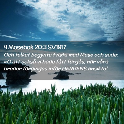 Picture 02 - 4 Mosebok 20:3 SV1917 - Och folket begynte tvista med Mose och sade: »O - Bible Verse Picture